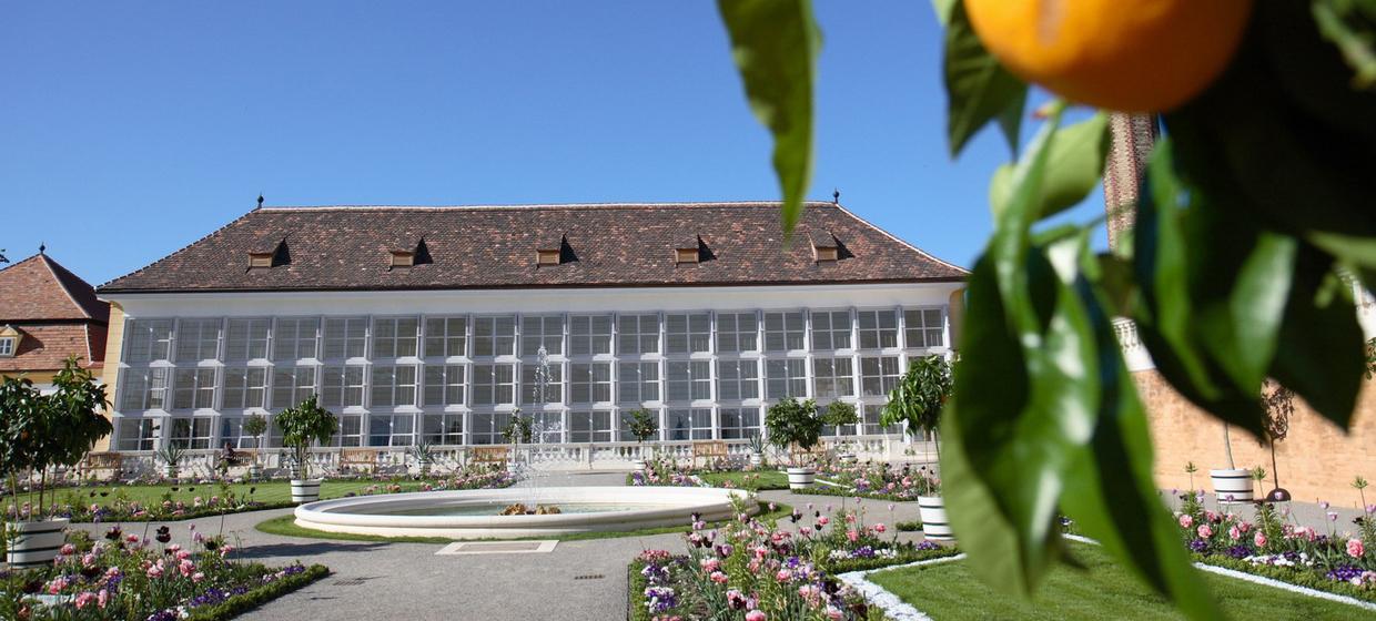 Schloss Hof 15