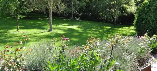 Garten Mieten Mainz