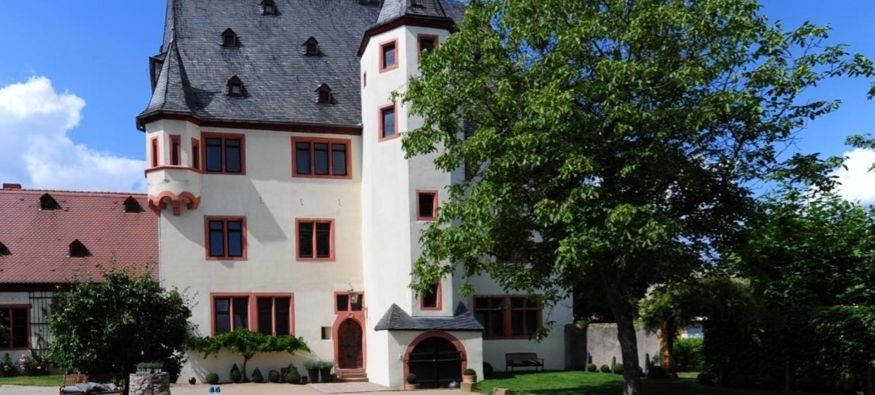 Schloss Schönborn im Geisenheim 15
