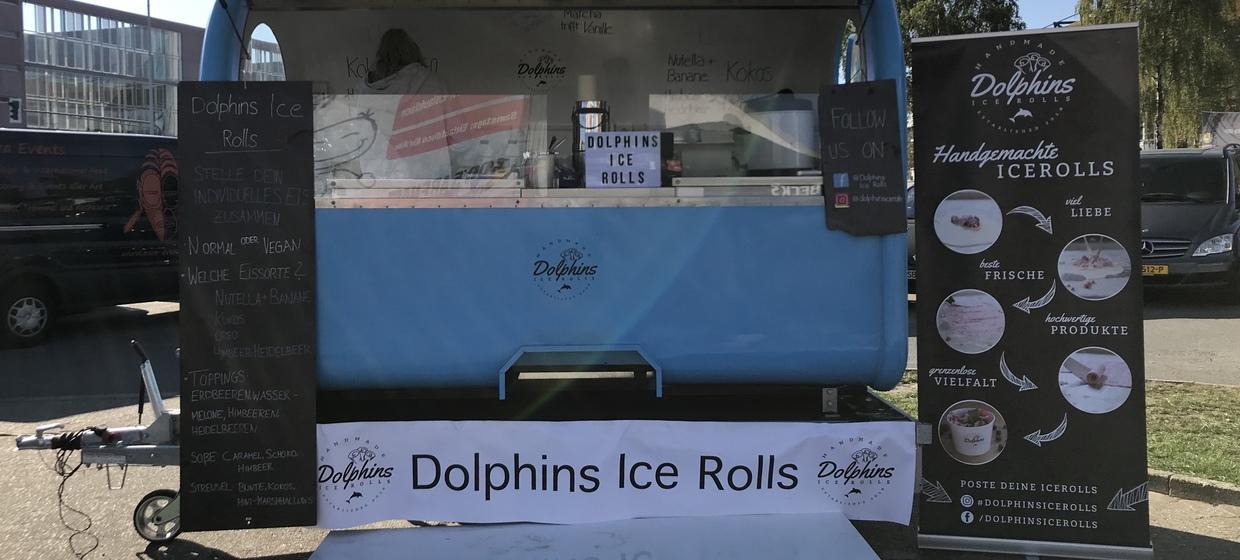 Dolphins Ice Rolls 6