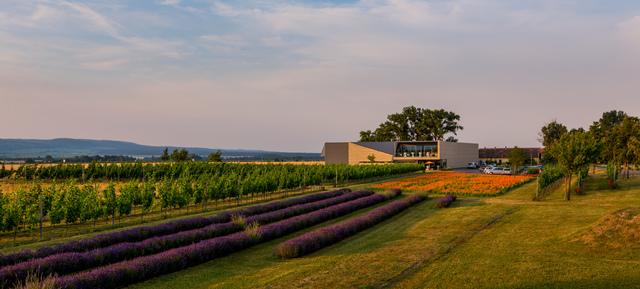 Weingut Esterházy und Kalandahaus 1