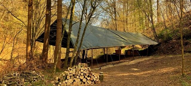 Wildniss Camp im Wald als Digital Detox 1
