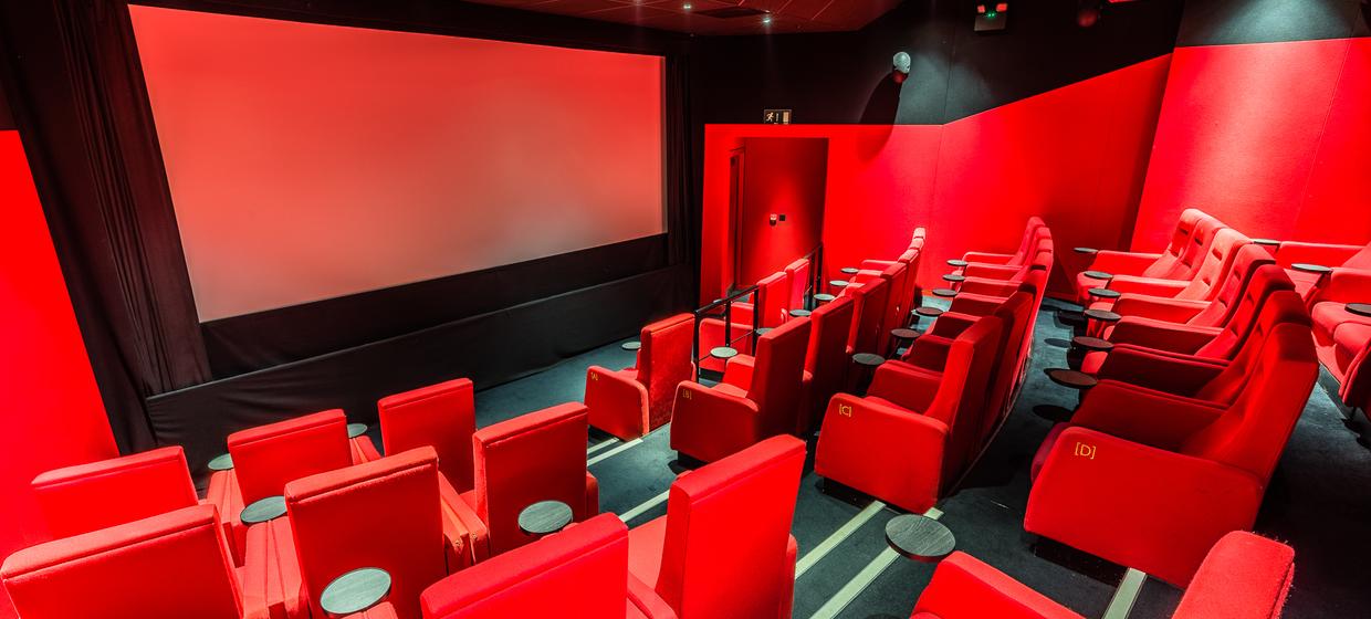 Boutique Cinema Screens with Private Room  1