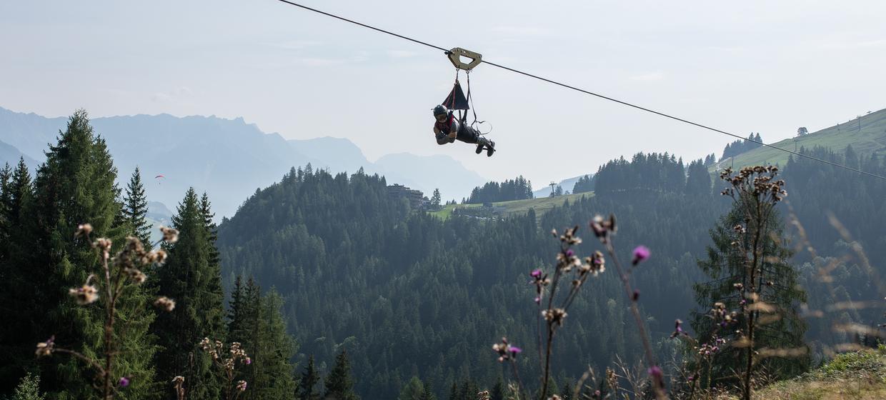 Flying Fox XXL 2