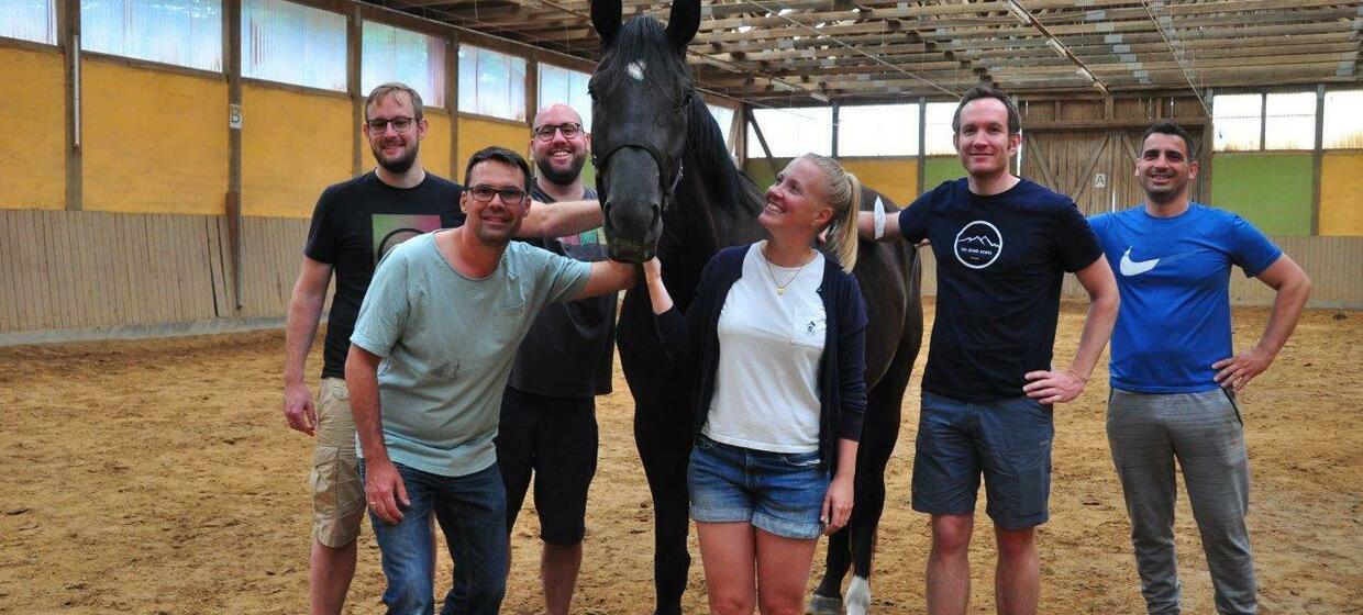 Talk to the horse! - 1-Tages Teambuilding Workshop 3