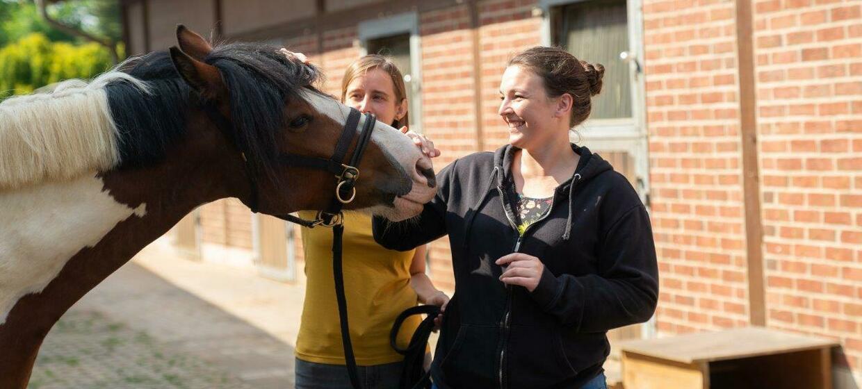 Talk to the horse! - 1-Tages Teambuilding Workshop 4