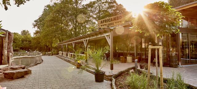 Africambo Lodge im Zoo Magdeburg 2