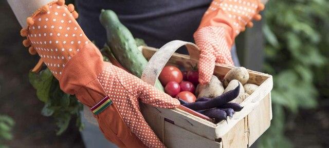 Urban Gardening 1