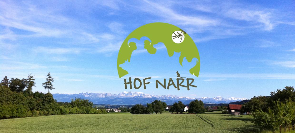 Hof Narr 1