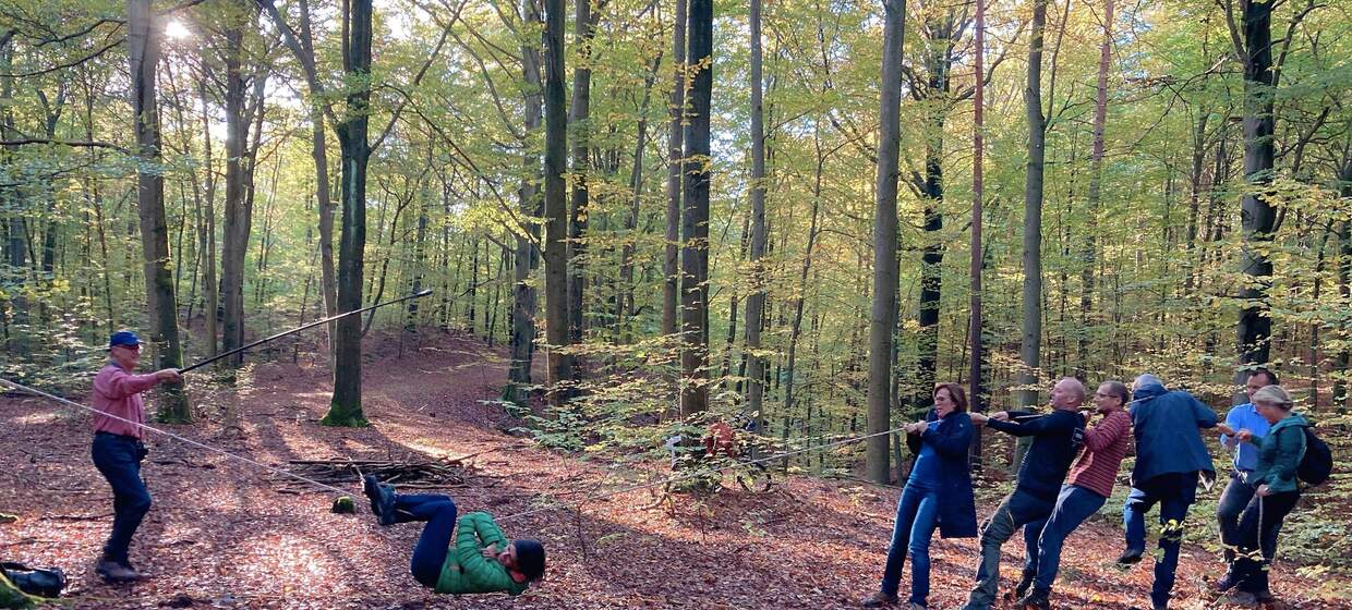 WaldBaden in der Dresdner Heide - Geocaching 3