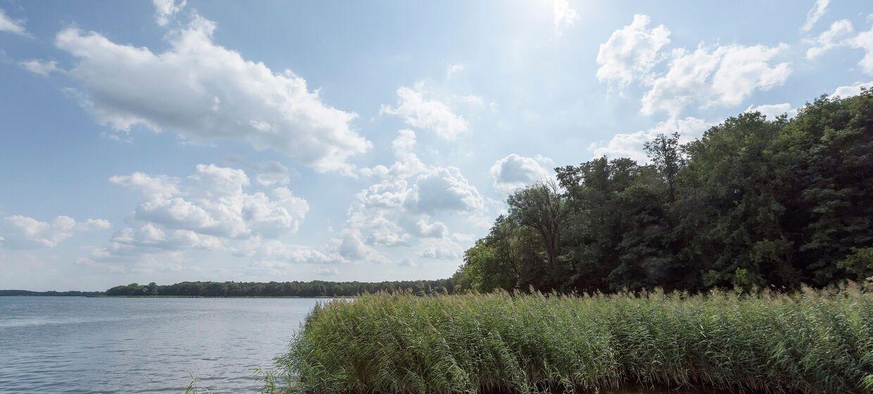 Am Müggelsee gelegen 40 Minuten von Berlin 27