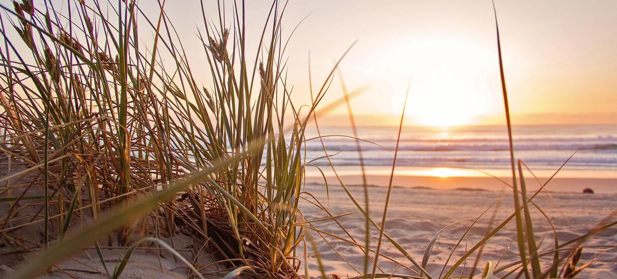 Ideal für Strandurlauber, Sportler und Familien 8