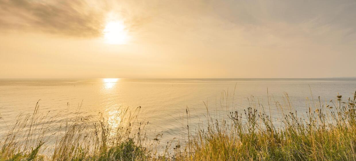 Ideal für Strandurlauber, Sportler und Familien 39