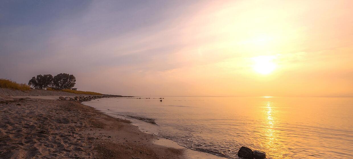 Ideal für Strandurlauber, Sportler und Familien 40