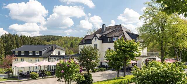 Dorint Parkhotel Siegen 14