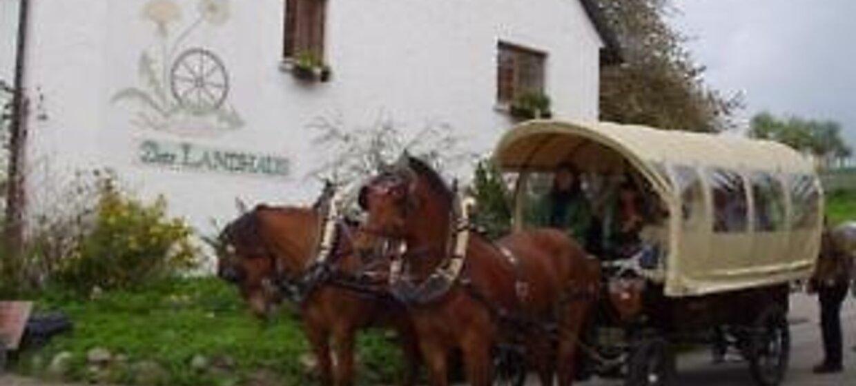 Familienfreundliches Hotel mit Alpenblick 8