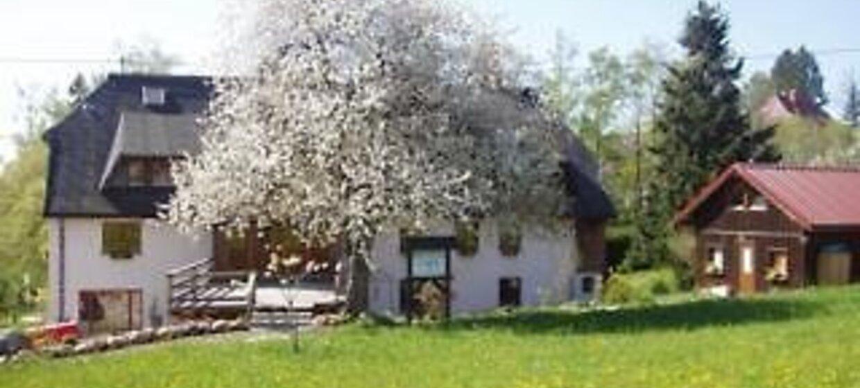 Familienfreundliches Hotel mit Alpenblick 9