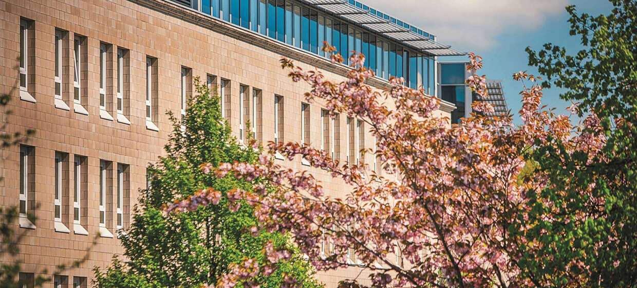 Zentrale Lage am Kurpark, moderne Ausstattung 3