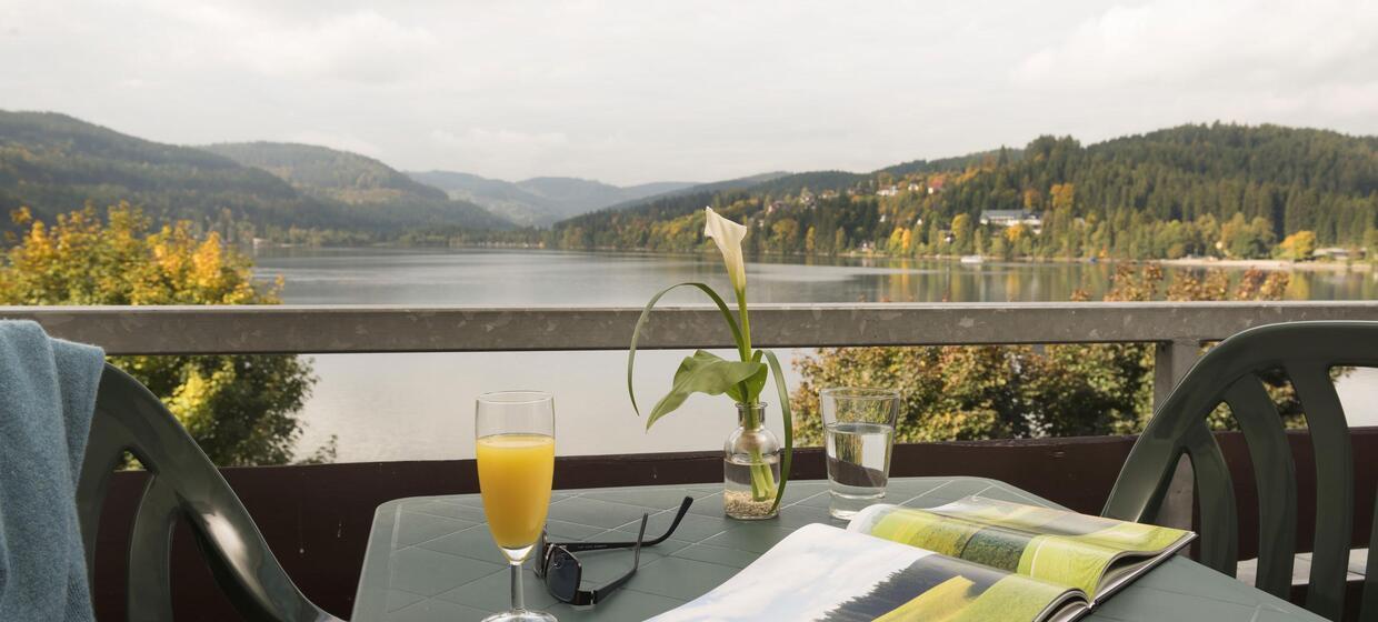 Hotel am Titisee, mit Strandlage 19