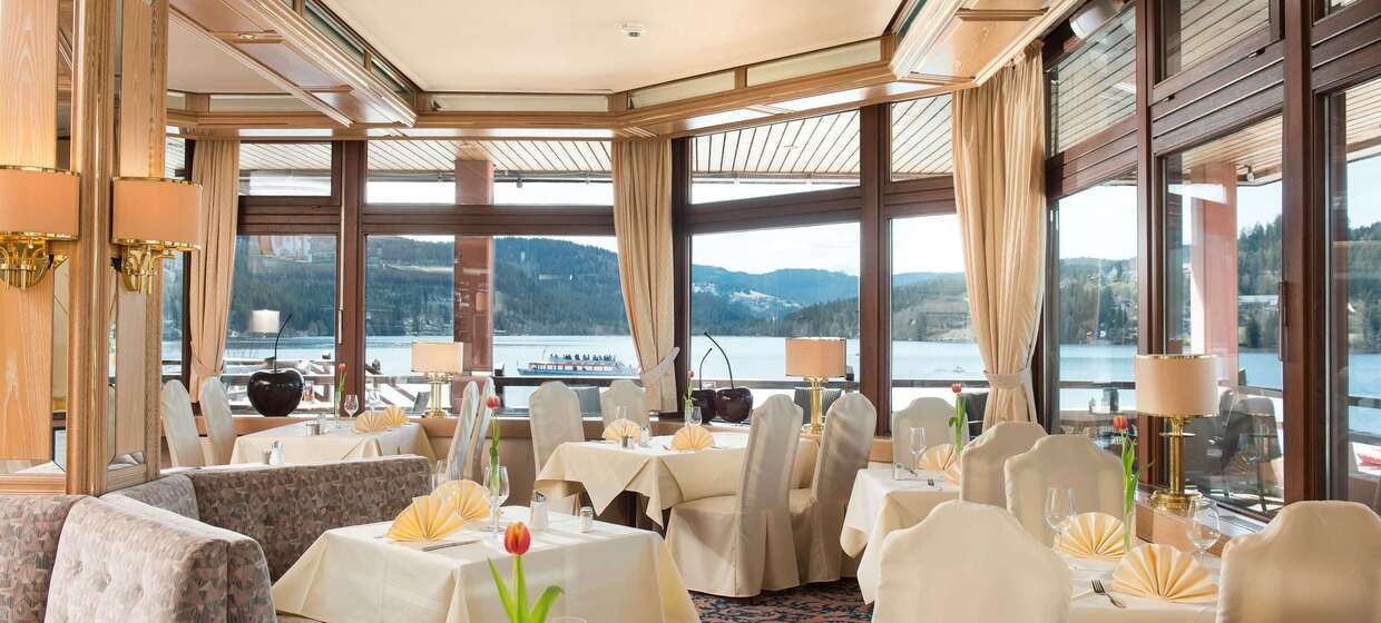 Hotel am Titisee, mit Strandlage 44