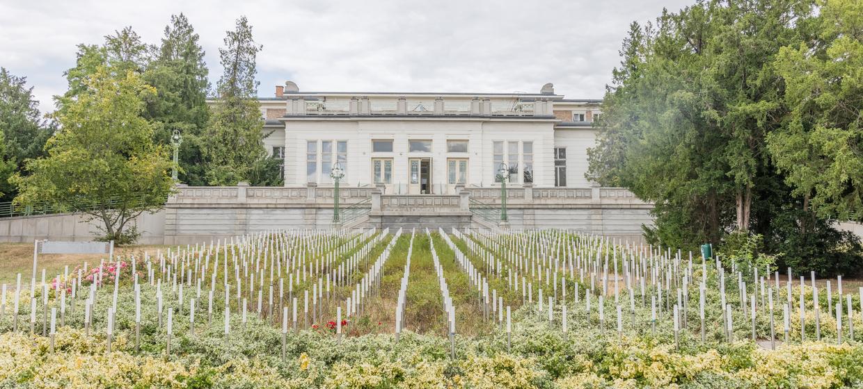 Jugendstiltheater am Otto Wagner Areal 14