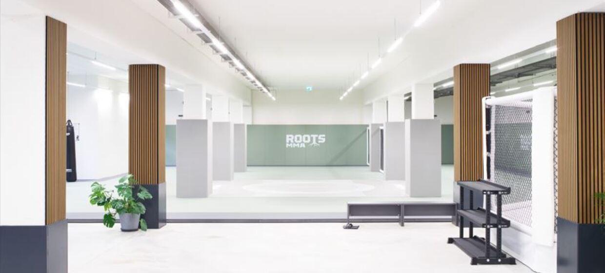 RootsMMA GmbH 2