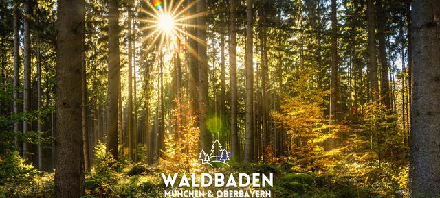 Waldbaden München - deine Auszeit im Wald 1