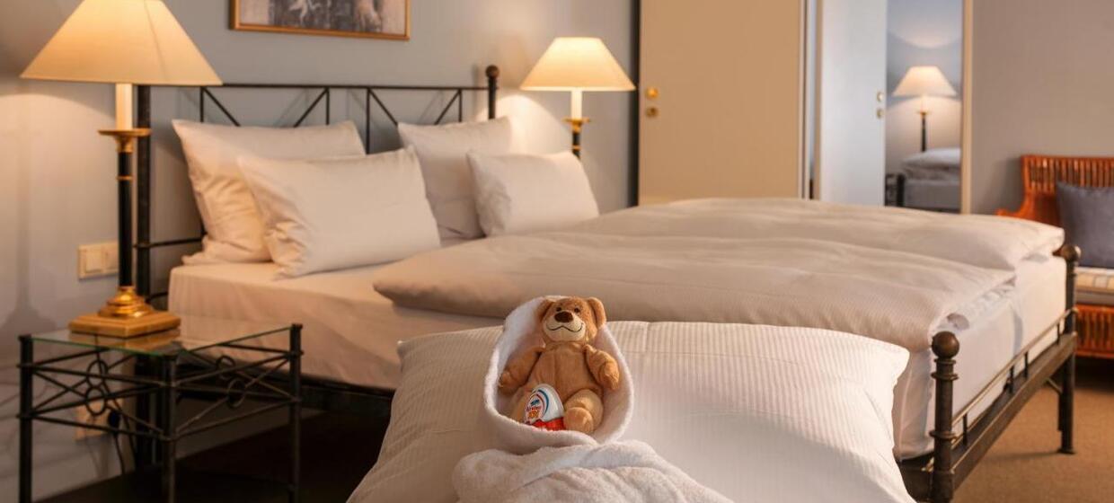 Hotel Elbflorenz 8