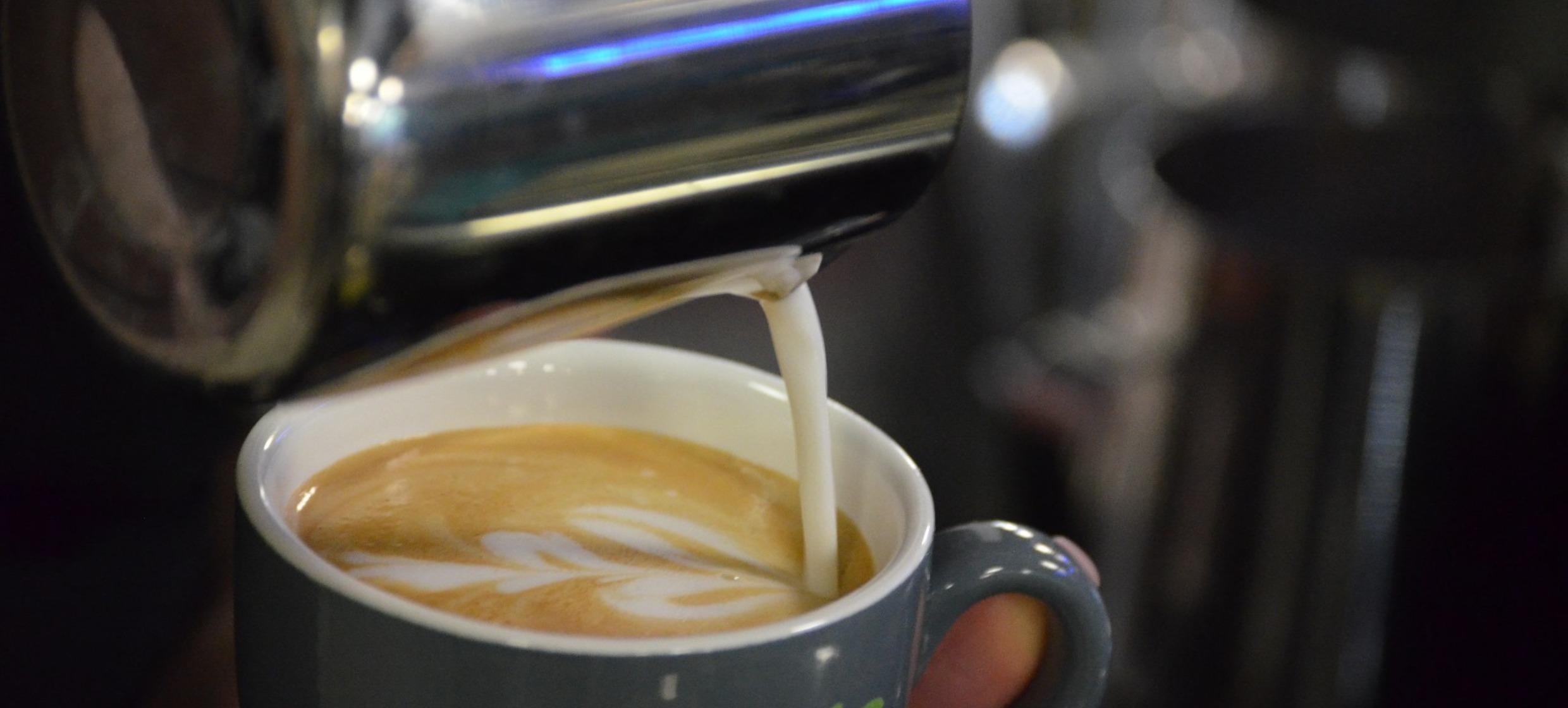 Coffee Bar Experience in Coffee Nerds / Potsdam 1