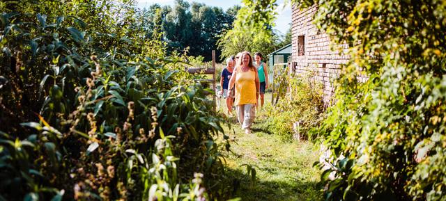 Herbal hike in Projektraum Drahnsdorf / Drahnsdorf 2
