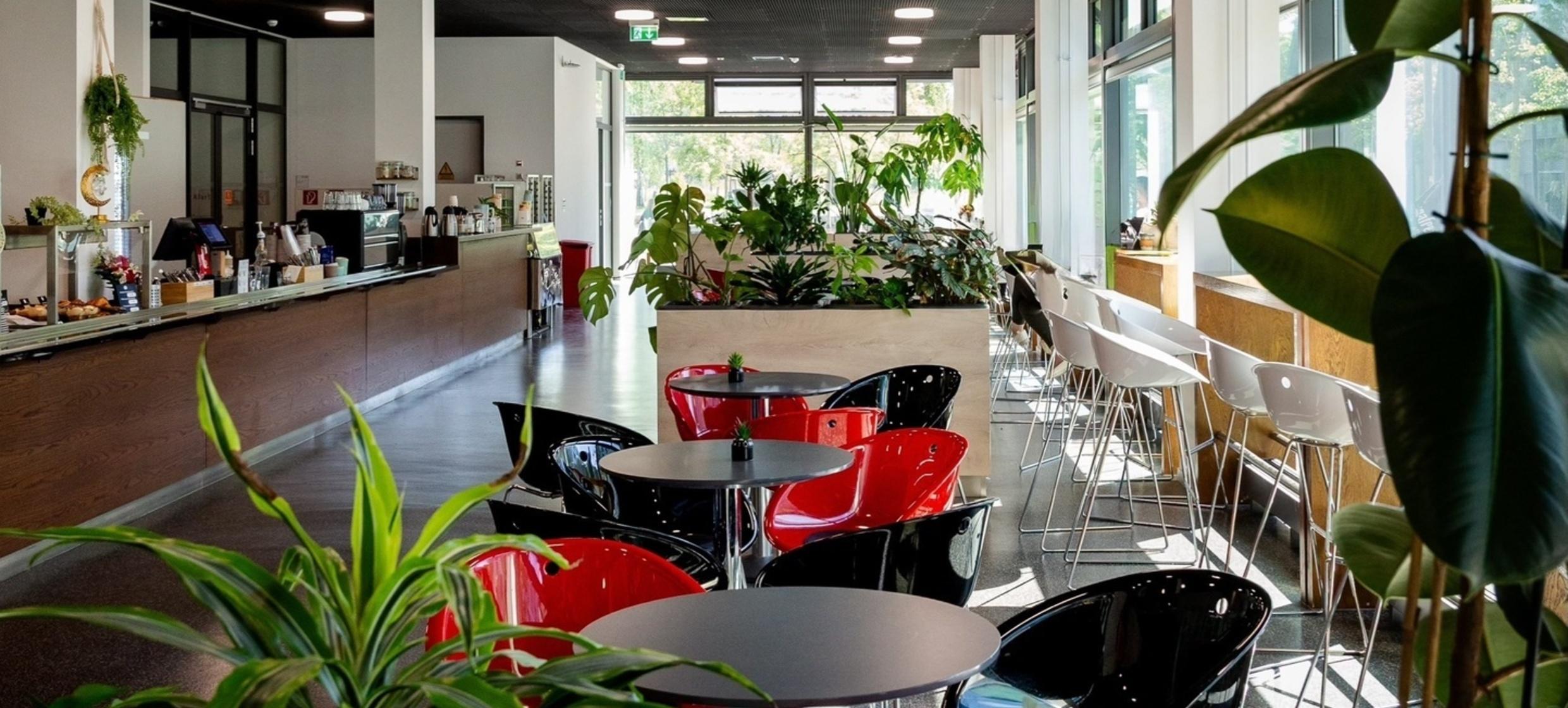Vermietung der Räumlichkeiten bei Coffee Nerds in Coffee Nerds / Potsdam 1