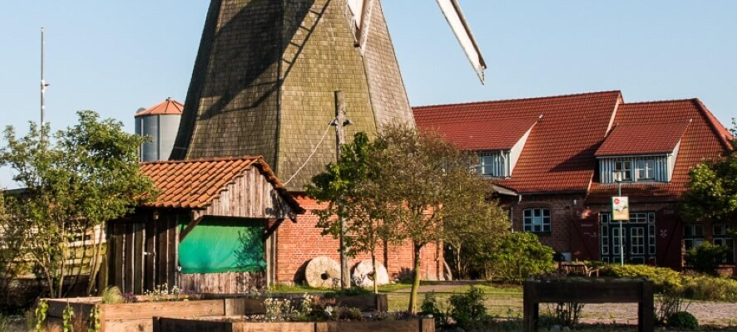 Küstenmühle in Rostock / Dierkow 1
