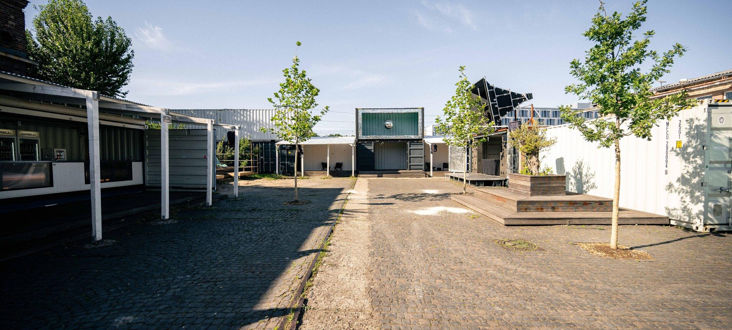 Nåpoleon Komplex 15