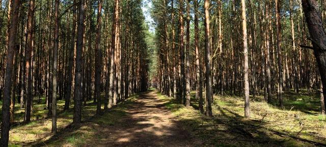 Herbst-Special in Projektraum Drahnsdorf / Drahnsdorf 5