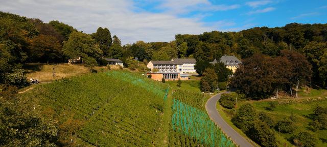 JUFA Hotel Königswinter in Nordrhein-Westfalen 14