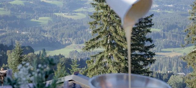 Kaiserschmarrn-Workshop in Element3 Events 3