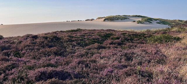 Benen-Diken-Hof in Sylt / Umland 8
