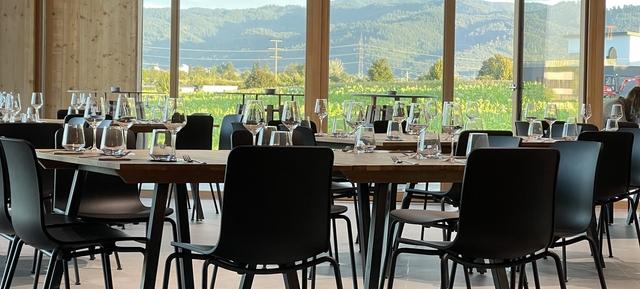 Weingut Scherer&Zimmer in Baden-Württemberg 2