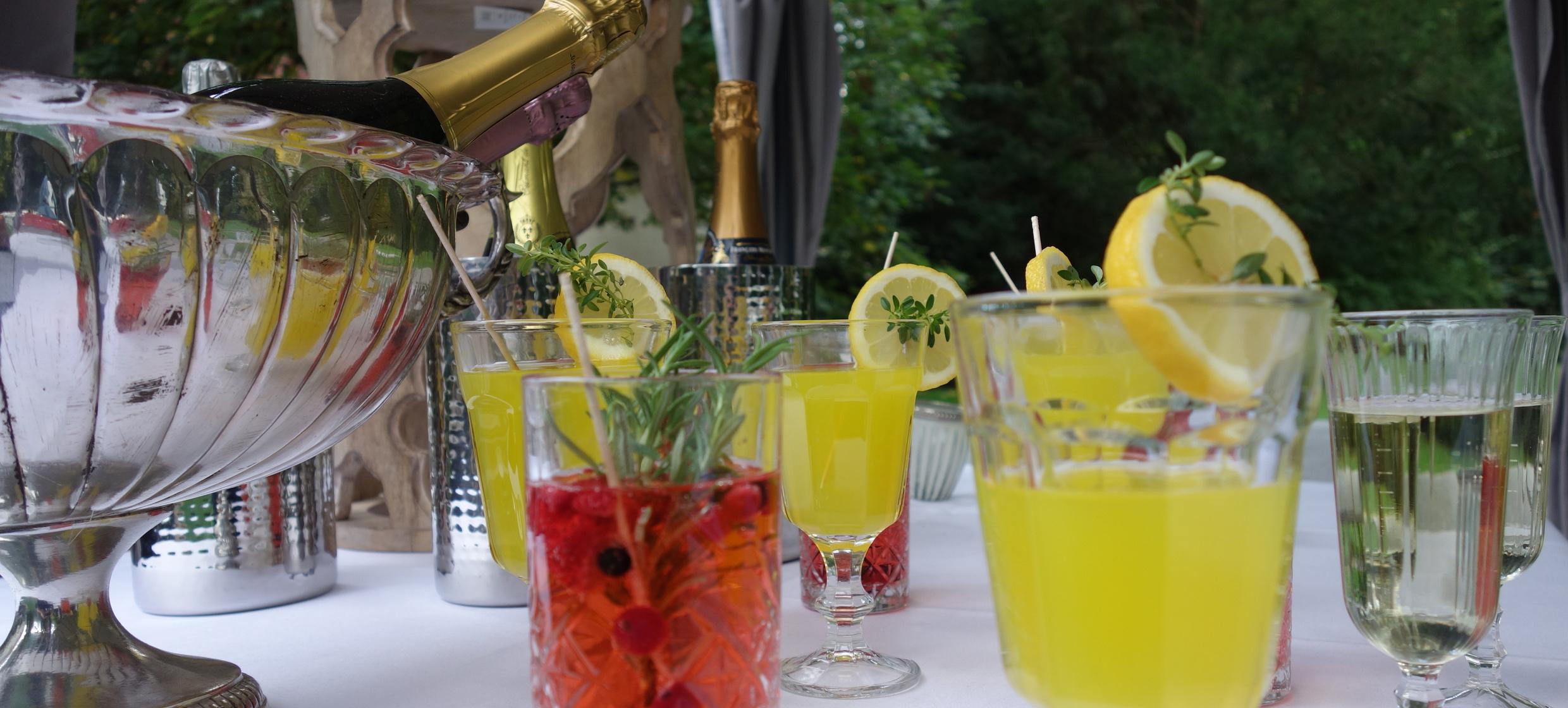 Sommerfest im Schlosspark 2