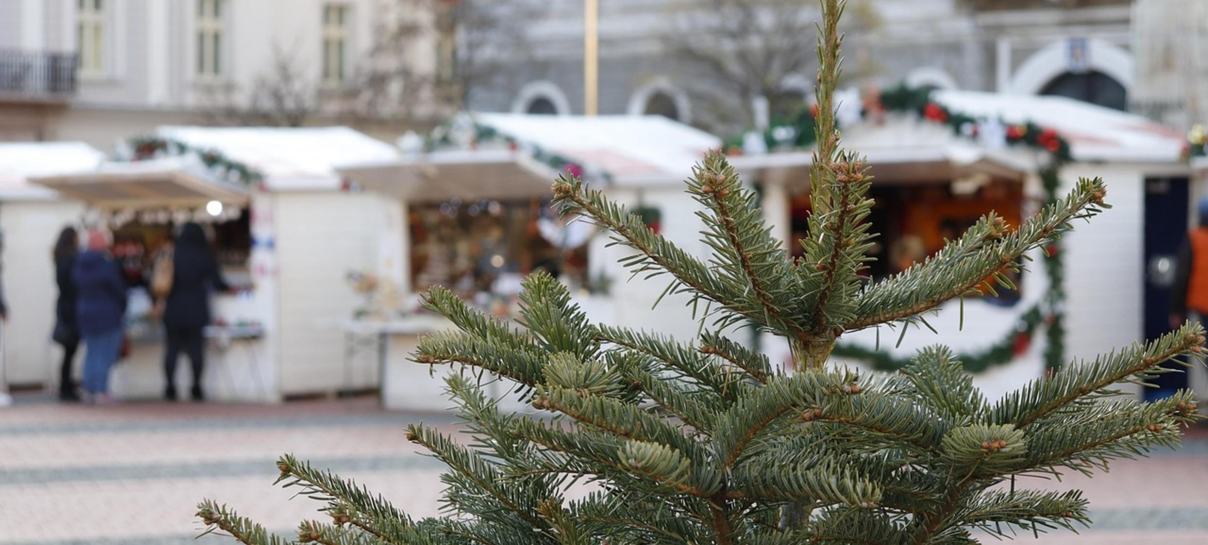 Firmeneigener Weihnachtsmarkt Firmeneigener Weihnachtsmarkt in Event- und Tagungszentrum check.pointX / Rottenburg Ergenzingen 1