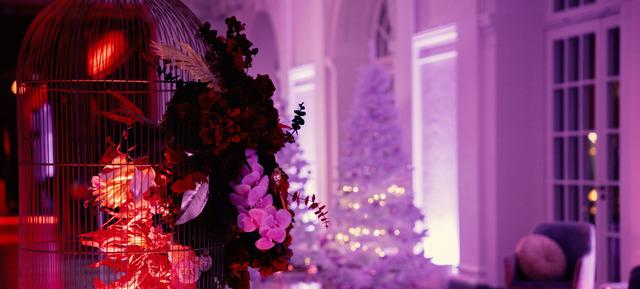 Weihnachtspauschale Paket 4 in Orangerie Charlottenburg / Berlin 3