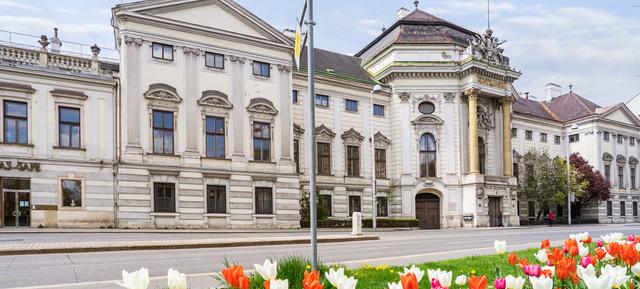 Palais Auersperg in Wien / Josefstadt 45