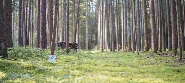 DEKRA Congress Center Wart & DEKRA Congresshotel Wart in Stuttgart / Umland 21