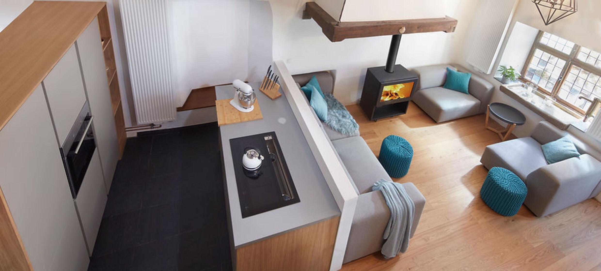 Olive Tree in Rheinland-Pfalz 1