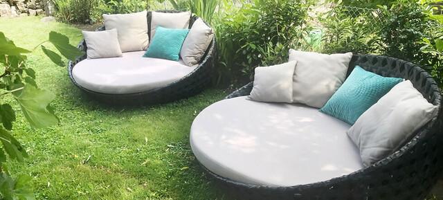 Olive Tree in Rheinland-Pfalz 10