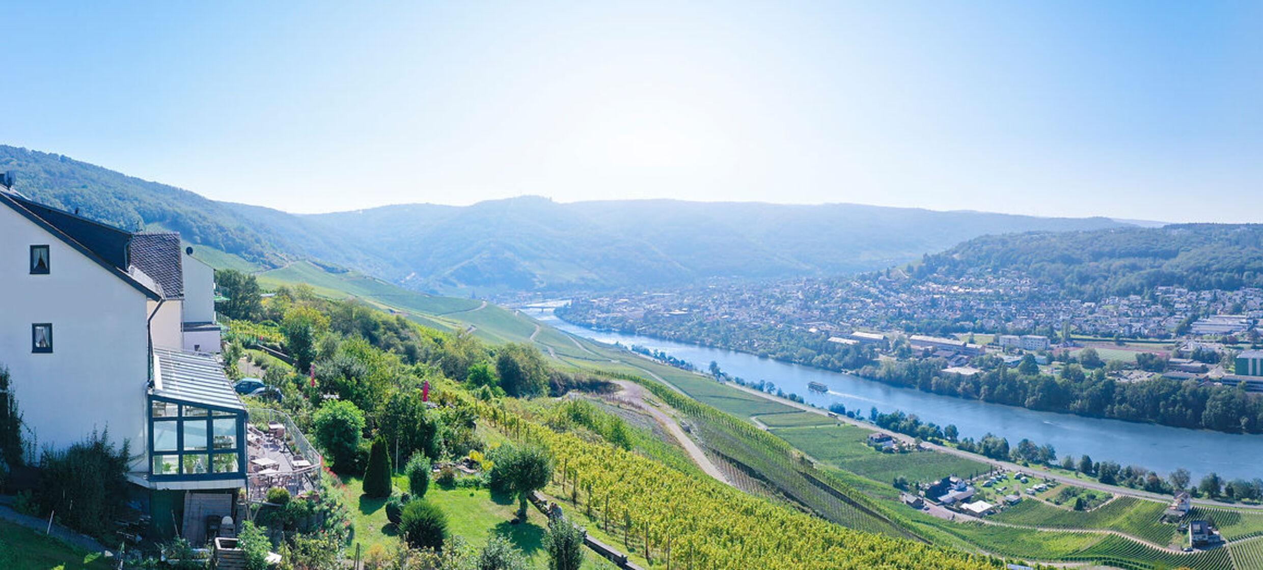Orange Tree in Rheinland-Pfalz 1