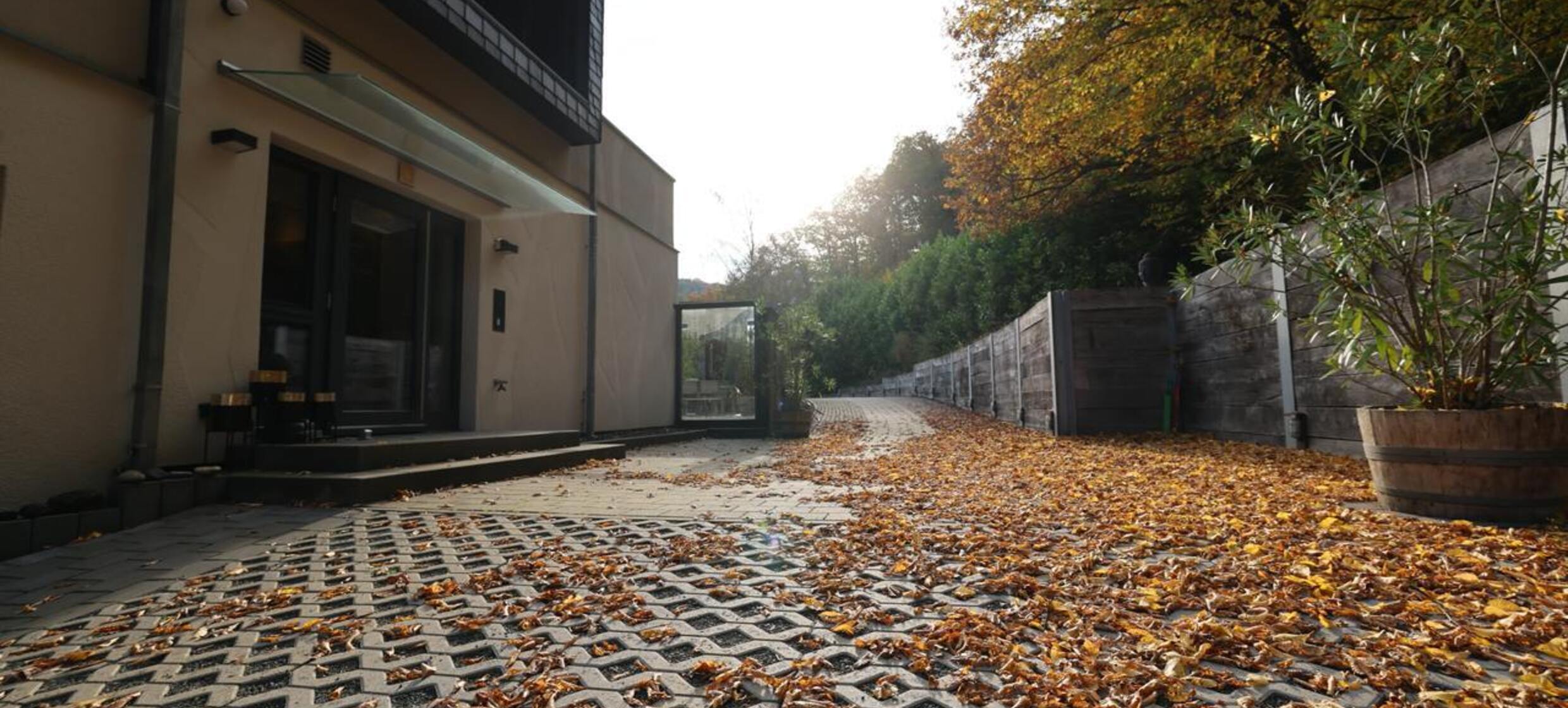 Waldmühle Rheingau 11