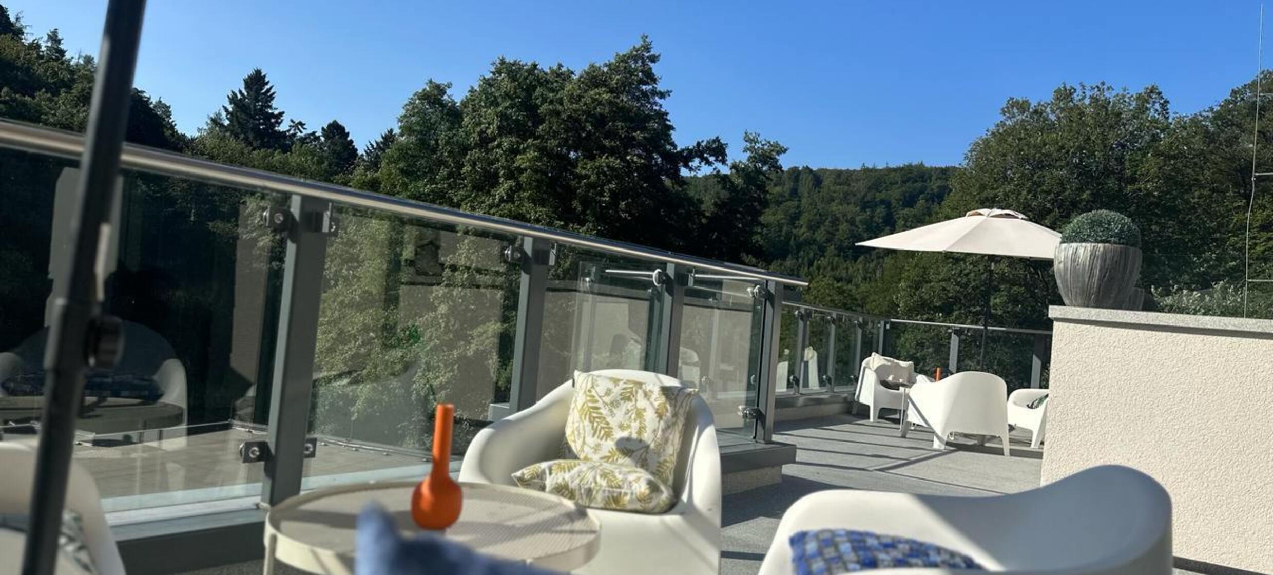 Waldmühle Rheingau 12