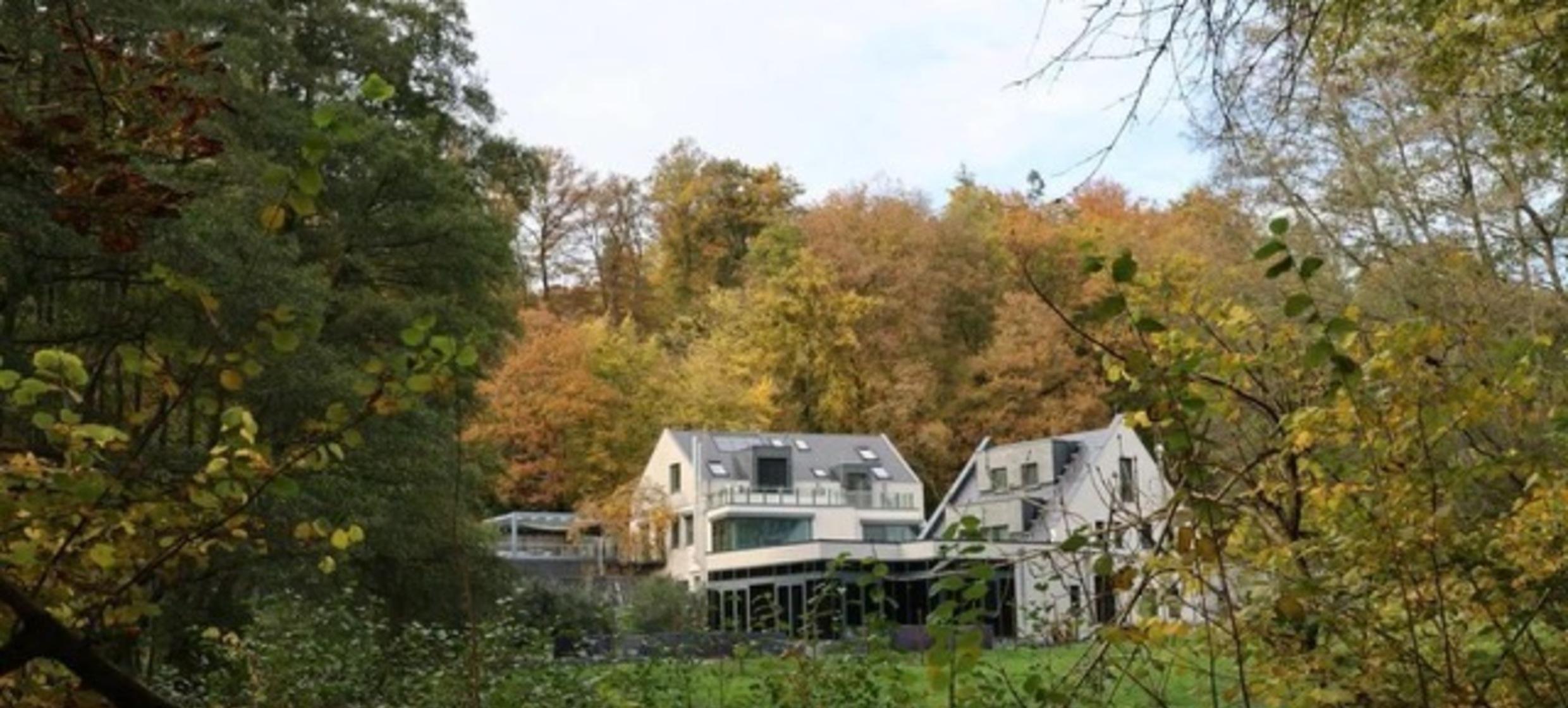 Waldmühle Rheingau in Wiesbaden 1