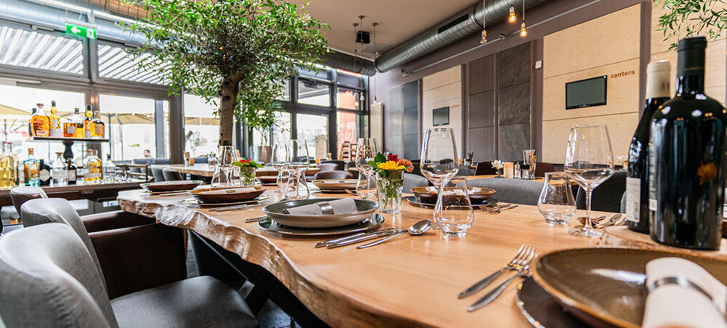 Cantera by Wiegand 3